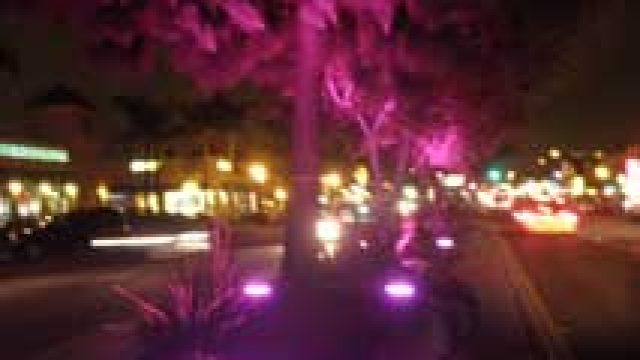 university-median-lighting.jpg