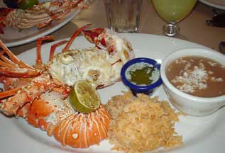 Ortega's Hillcrest Lobster