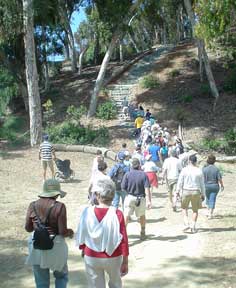 Balboa Park trail up the granite Juniper Steps